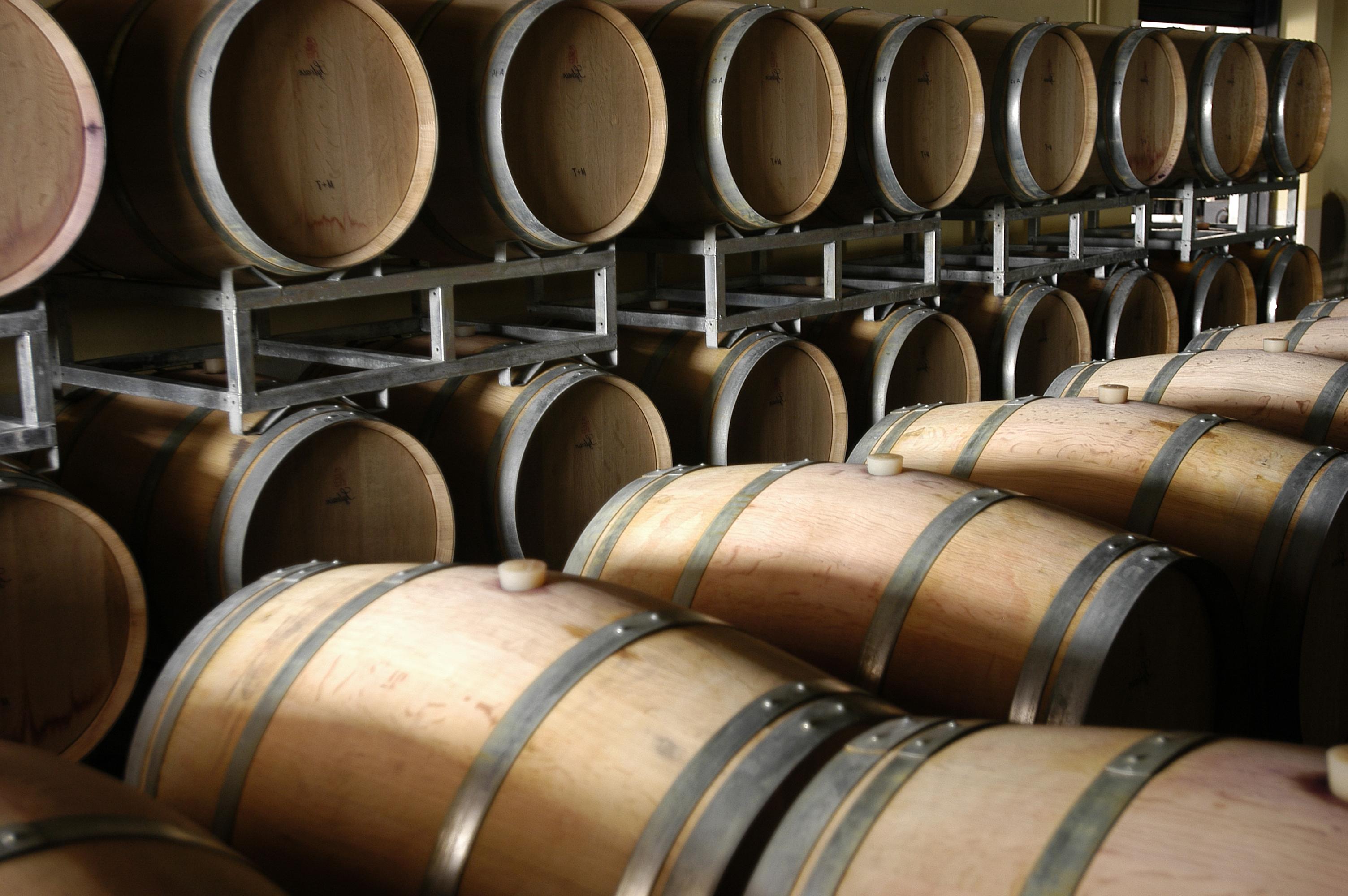 a room full of wine barrels 