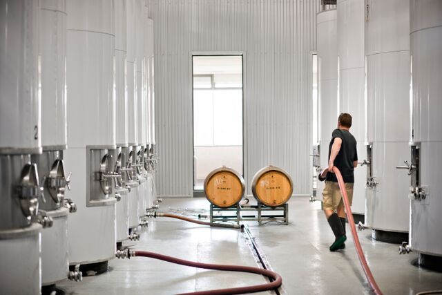 cleaning a winery
