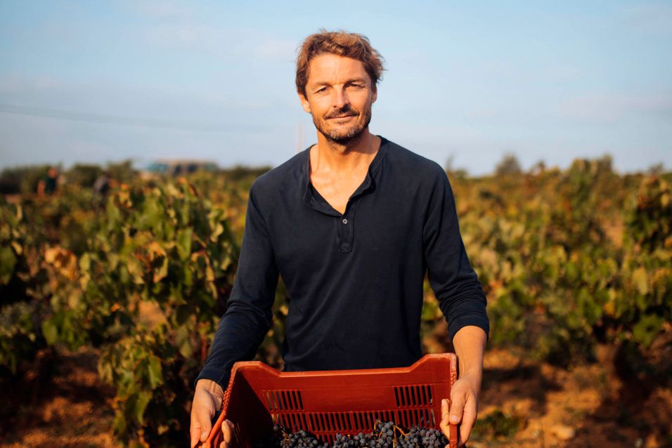 Pepe Raventos in the vineyard